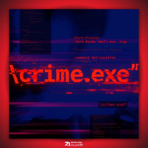 Crime.exe #1 anonymous