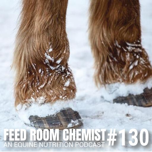 130 | Winter Laminitis