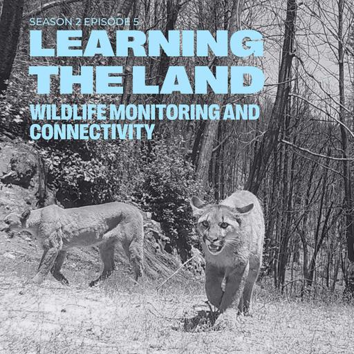 Learning the Land - Season 2 Episode 5: Wildlife Monitoring and Connectivity