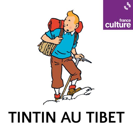 Tintin au Tibet : les Aventures de Tintin 2/3 : L'ombre du yéti