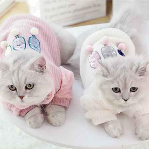 Kể chuyện về những chiếc áo ấm