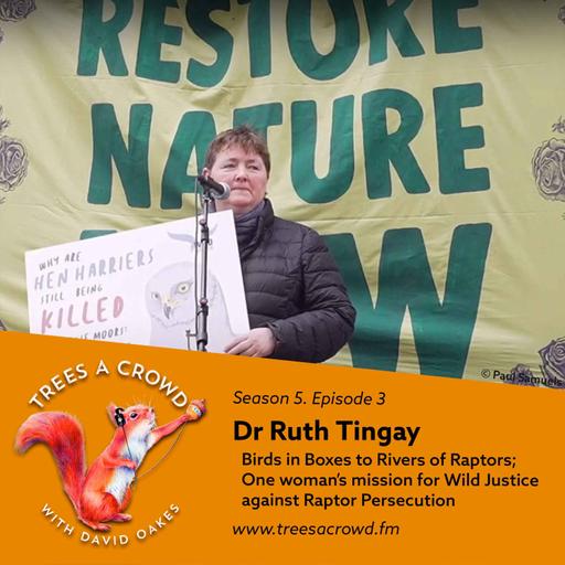 Dr Ruth Tingay: From Birds in Boxes to Rivers of Raptors; One woman’s mission for Wild Justice against Raptor Persecution