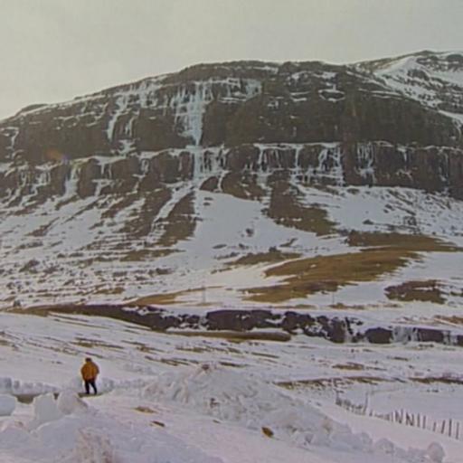 Úr savninum: Hon leyp á leistum