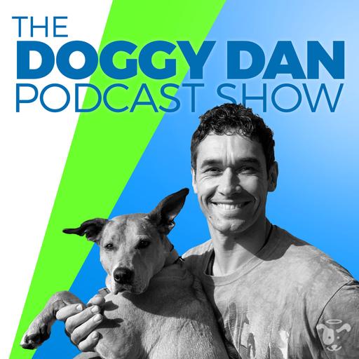 Show 88: Two Most Important Types of Dog Walks EVERY Dog Owner Needs to Know