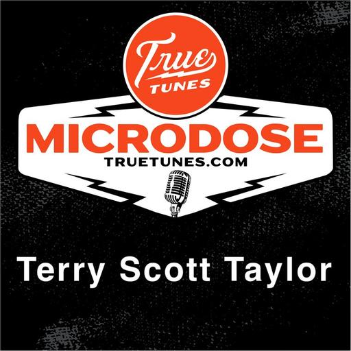 Microdose: Terry Scott Taylor