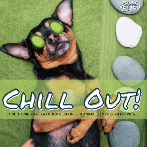 93. Chill Out: Conditioning a Relaxation Response in Animals | MVC 2024 Preview Series