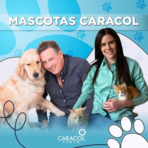 Mascotas Caracol 10 de septiembre