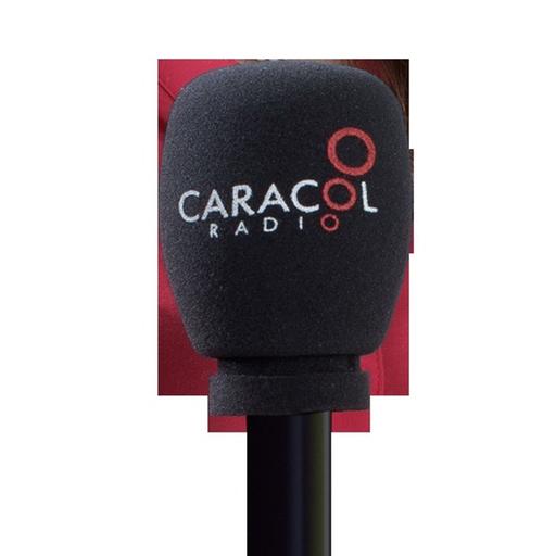 Escuche el programa Mascotas Caracol 06 de agosto