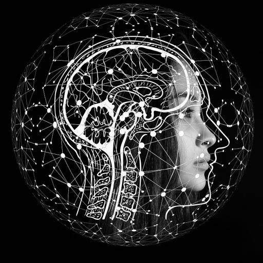 Batalha de neurocientistas #2: Roberto Lent feat. Rosinda Oliveira sobre plasticidade