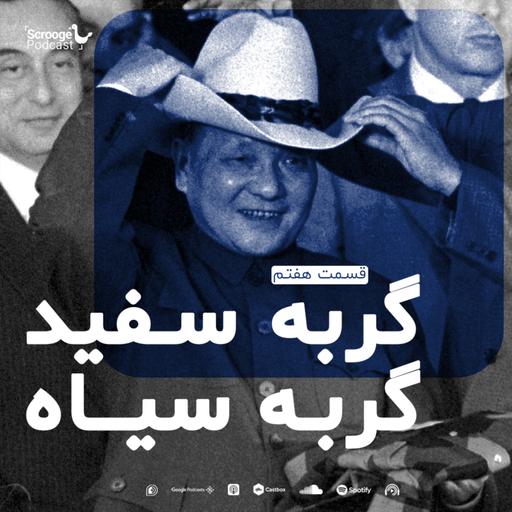 اپیزود هفتم: گربه سفید، گربه سیاه