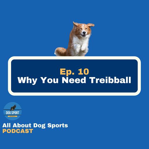 Why You Need Treibball