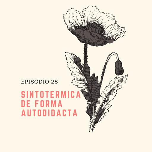 28 Sintotérmica de forma autodidacta