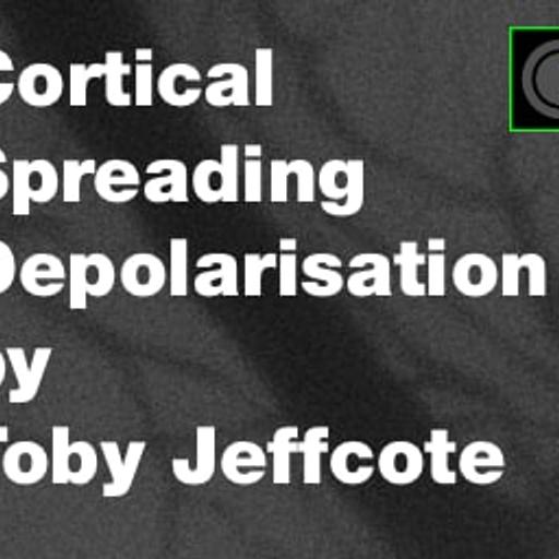 Cortical Spreading Depolarisation in Neurological Disease - An Introduction