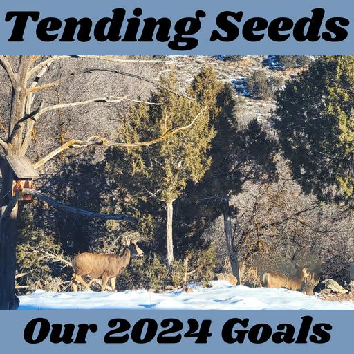 Ep 54 - Our 2024 Goals