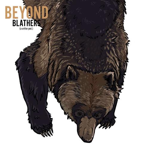 Grizzly Bear