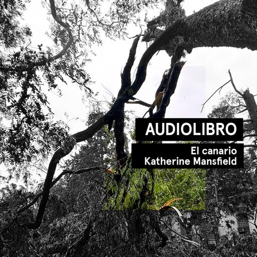 El canario - Katherine Mansfield | Audiolibro voz humana