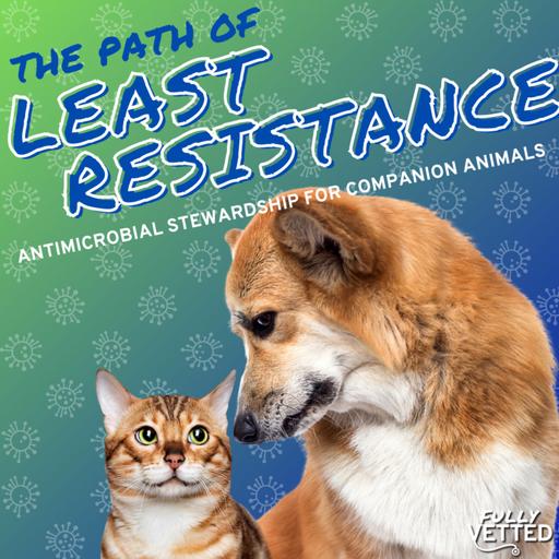 95. Antimicrobial Stewardship: Finding the Path of Least Resistance | MVC 2024 Preview Series