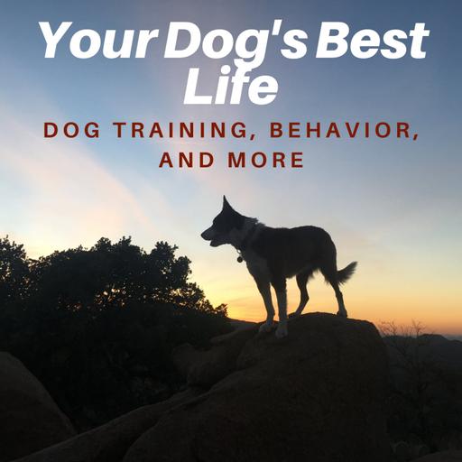 Understanding Drive, Arousal, and, Energy in Dogs