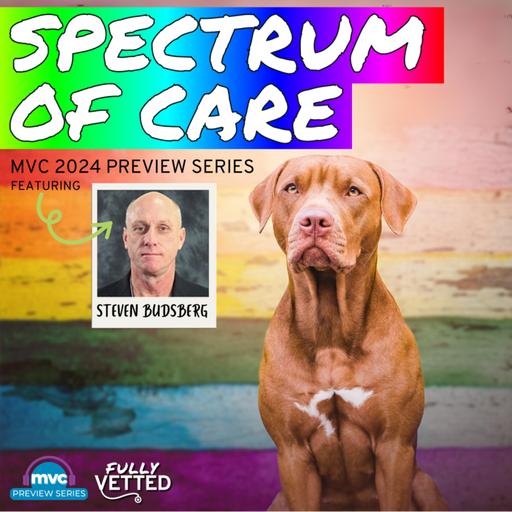 97. Weighing Options: A Spectrum of Care to Meet Every Patient's Needs | MVC 2024 Preview Series