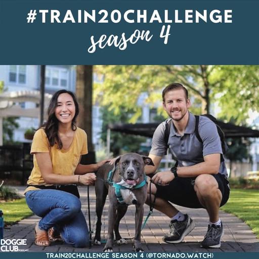 Train 20 Challenge: SZN 4