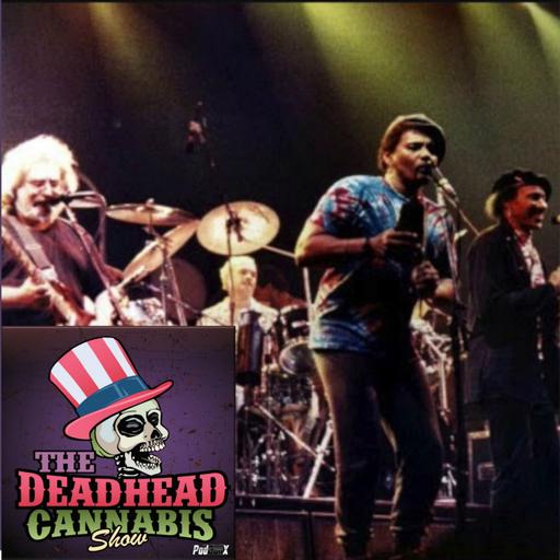 Dead and the Neville Brothers Do The Crazy Hand Jive Celebrating 1986 Mardi Gras: MJ: can it help treat cancer? MJ users are safer drivers than drinkers. Don’t give up on Oregon’s drug decriminalization program