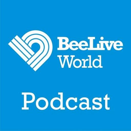 Podcast 546 BeeLiveWorld by DJ Bee 16.02.24 Side B