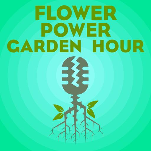 Flower Power Garden Hour 194: Aroids, with Bruce Ritter