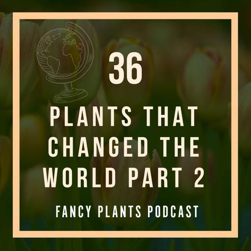 36. Plants That Changed the World Part 2