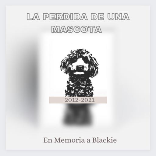 LA PERDIDA DE UNA MASCOTA