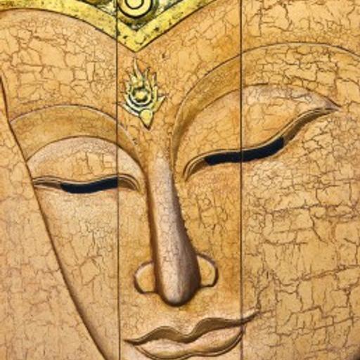 Zen Bites 18 - The Shadow, Repression and Acceptance