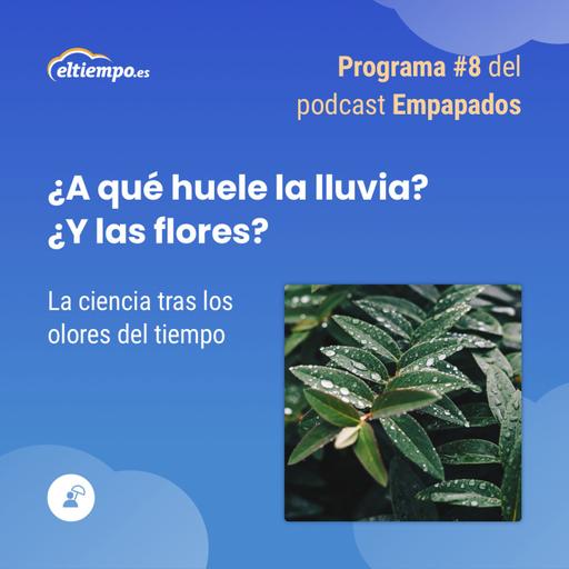 8. ¿A qué huele la lluvia? ¿Y las flores?