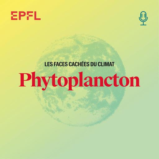 Tout petit mais indispensable: le phytoplancton