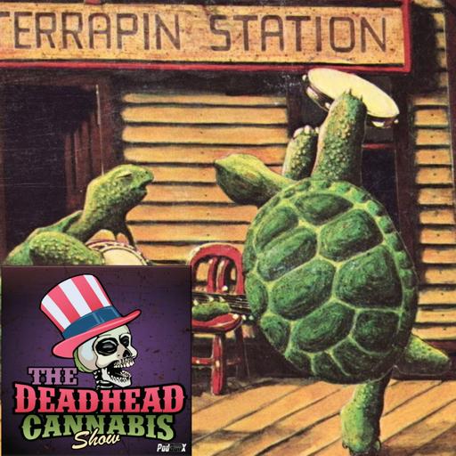 The Dead Swing the Swing in 1977, debut Terrapin and Estimated Prophet, Everyone Has A Good Time