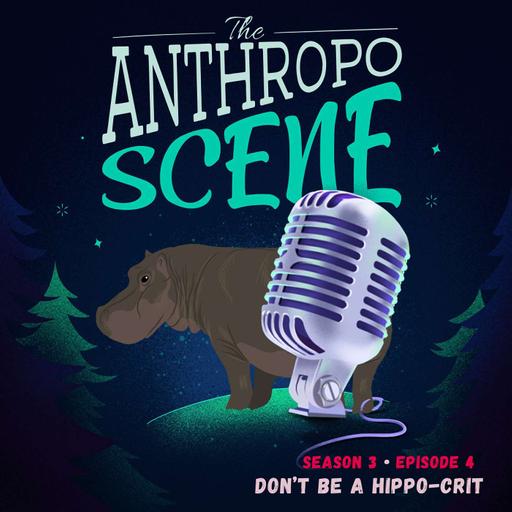 Don’t Be a Hippo-crit