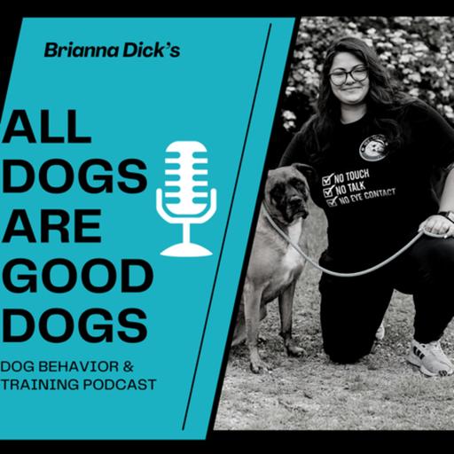 Ep. 19 "I Adopted a Dog with Behavioral Problems" A Client Interview