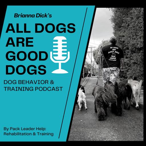 Ep.14 Dog on Dog Aggression