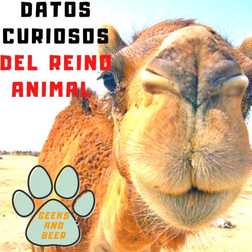 # Geeks and beers - Datos curiosos del reino animal