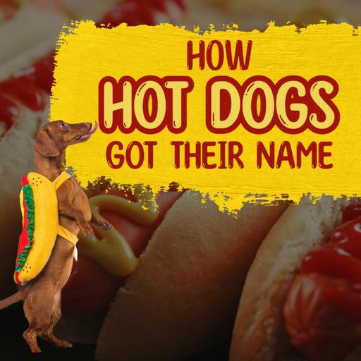 Is A Hot Dog A Sandwich? America's Favorite Sausage