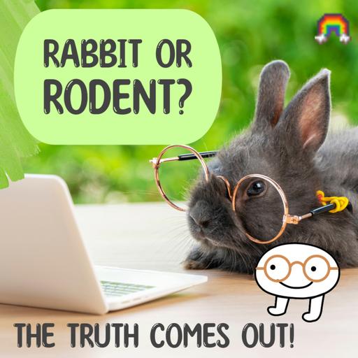 From Big Ears to Big Hops: Raving About Rabbits!