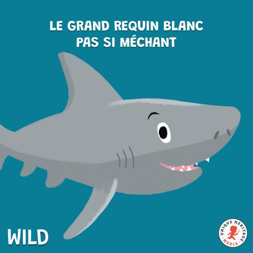 Le grand Requin Blanc pas si méchant !
