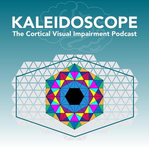 Hindsight and Insight | Kira Brady | 16