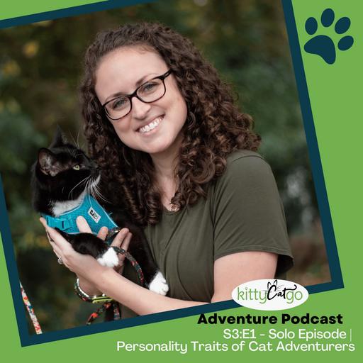 3:1 - The 6 Common Personality Traits of Cat Adventurers