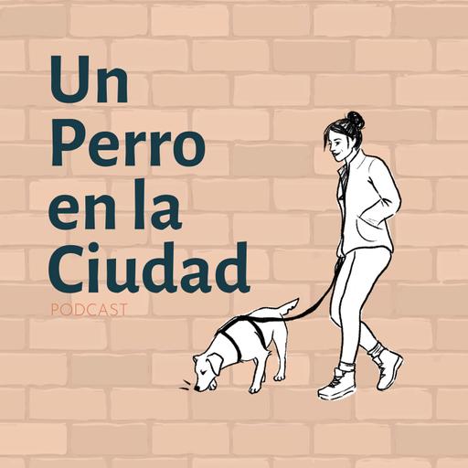 ¿Cuántos amigos necesita tu perro?