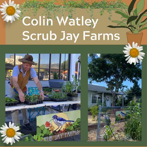 Scrub Jay Farm - Workshops & Plant-scaping– Colin Watley