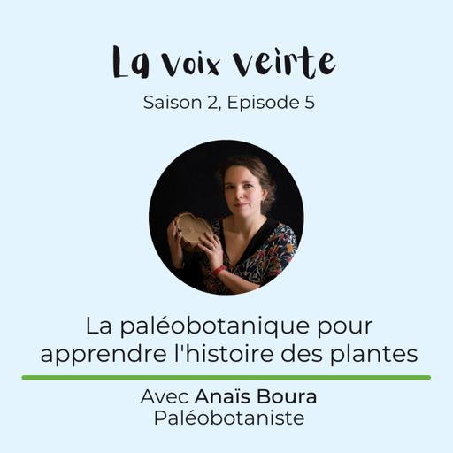 #S2EP5 La paléobotanique pour apprendre l'histoire des plantes