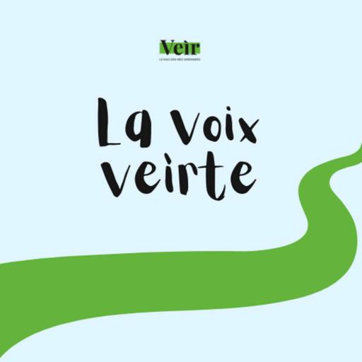 🌿[REDIFFUSION]🌿 Tout savoir sur les cactus
