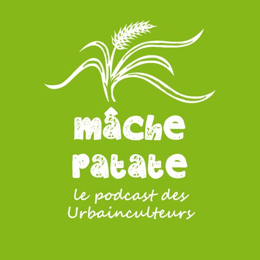 Après l'épisode 100 : petit bilan et ce qui suivra