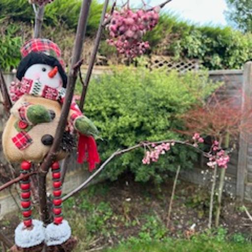 Three Top Gardeners Drop In For A Festive Chat