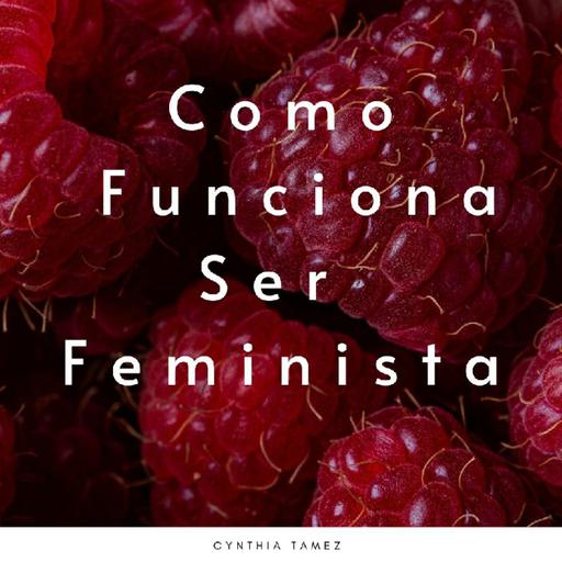 Como Funciona Ser Feminista