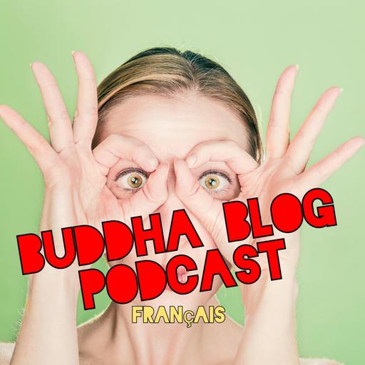 433-Bavures et chamailleries presque partout- Podcast du blog de Buddha
